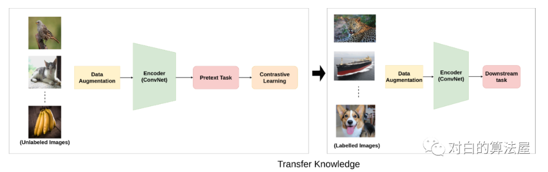 再介绍一篇最新的Contrastive Self-supervised Learning综述论文_监督学习_22