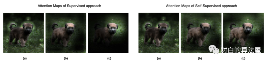 再介绍一篇最新的Contrastive Self-supervised Learning综述论文_数据_23