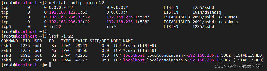 Aix和linux 通过端口号查找端口对应进程_linux_02