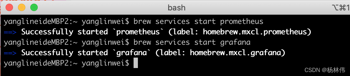 Mac下安装 Prometheus+Grafana_prometheus_03
