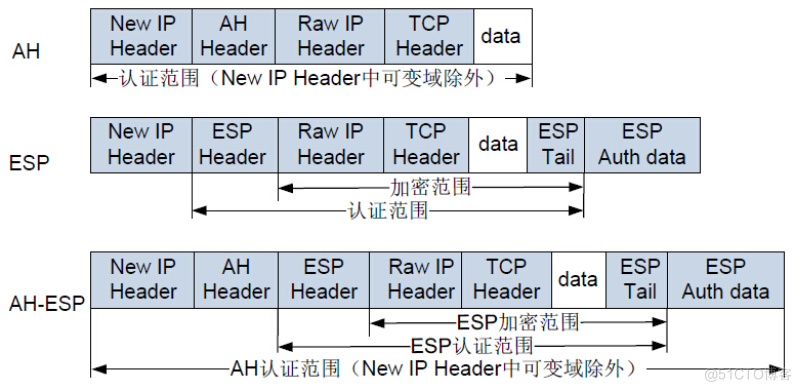 山石网科Hillstone Debug(抓包)故障调试指南_封装_05