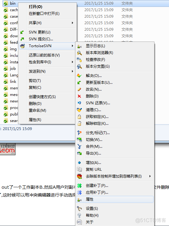 SVN入门  TortoiseSVN 检出_用户名_22