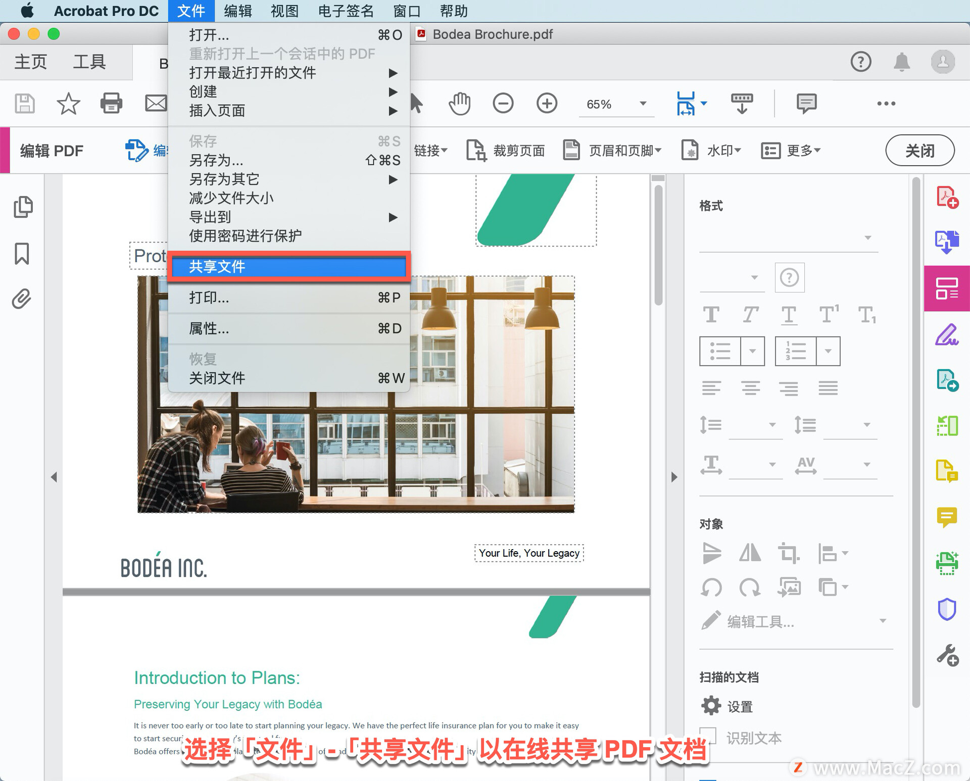 Acrobat Pro DC 教程：如何共享 PDF 文件以供审阅？_共享文件_02