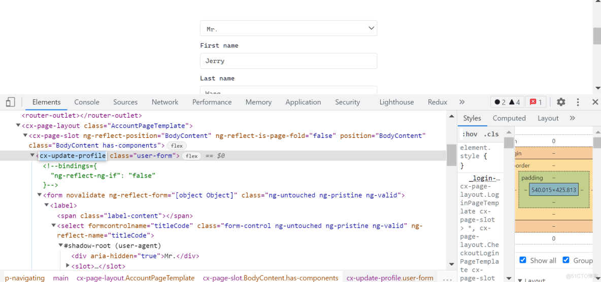 SAP 电商云登录界面如何增添新的字段_html