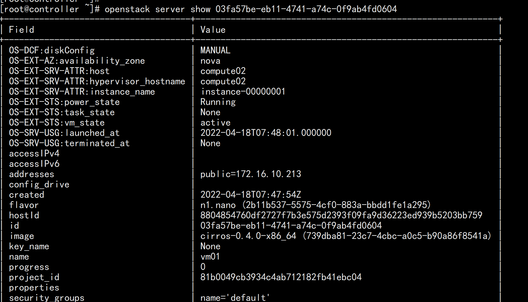 OpenStack Train（七）：业务组件NOVA装安装_虚拟化_27