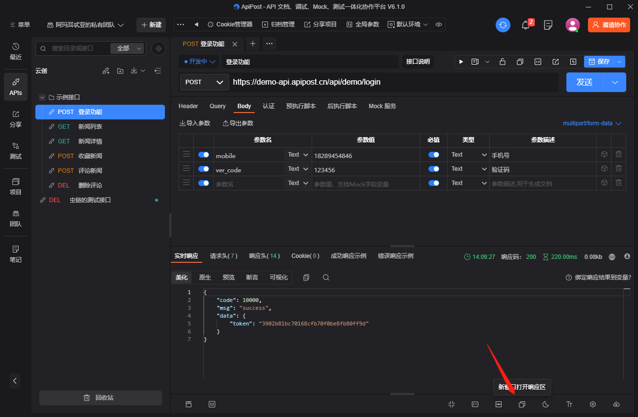 比Postman更适合国人的接口调试工具_java_14