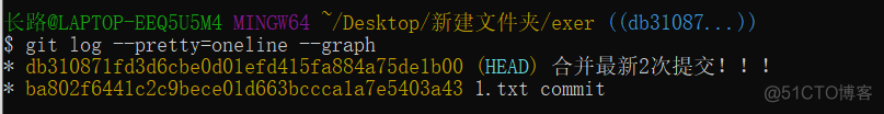 Git详细使用指南(含详细命令、实操)_git_22