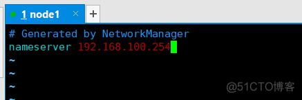 DNS服务器配置与管理（案例展示）_运维_10