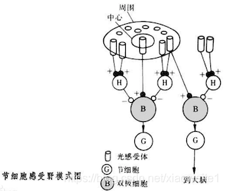 图像数据与边缘检测_卷积_03