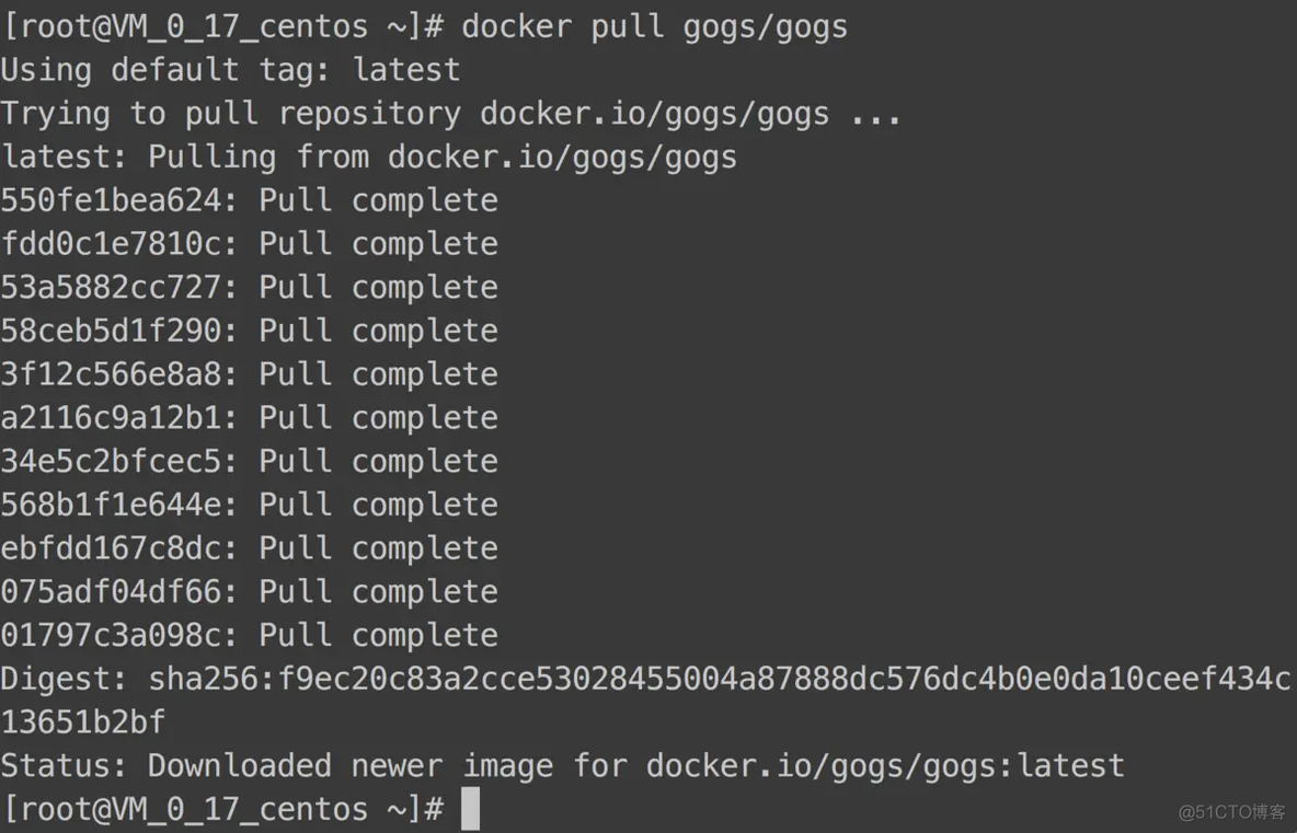 用gogs搭建属于自己的git网站_docker_03