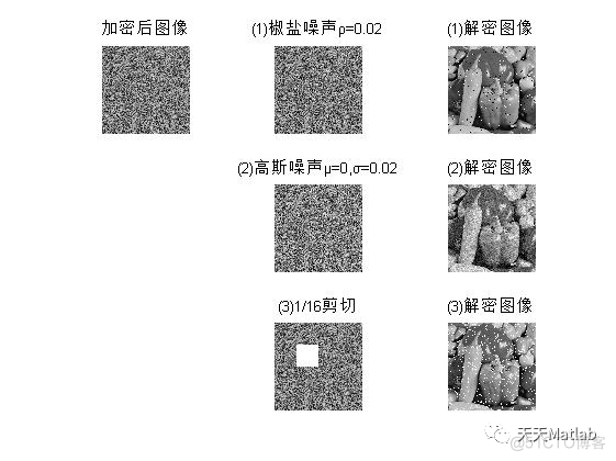 【图像加密】基于Logistic混沌结合Arnold置乱实现图像加密含Matlab源码_彩色图像_03