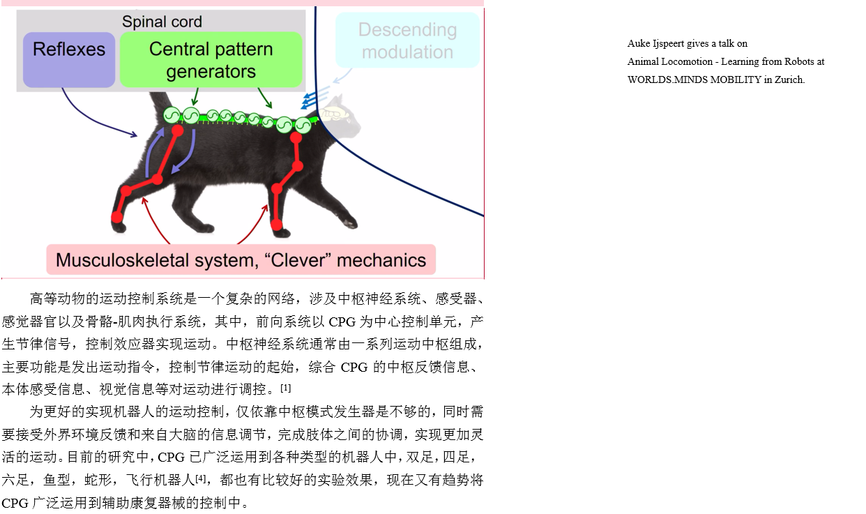 中枢模式发生器介绍_javascript_04