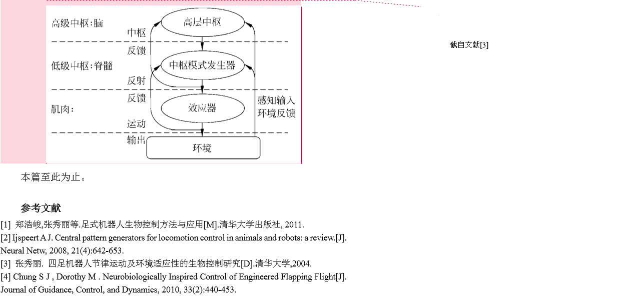 中枢模式发生器介绍_javascript_05