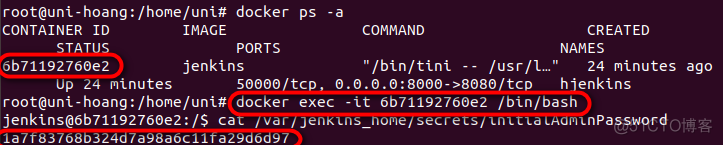 查看Docker启动jenkins的管理员密码_bash_02