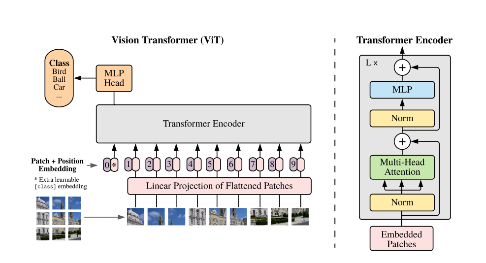 极智AI | 详解 ViT 算法实现_计算机视觉