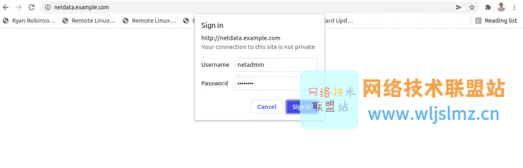 安利一款免费、开源、实时的服务器监控工具：Netdata_nginx