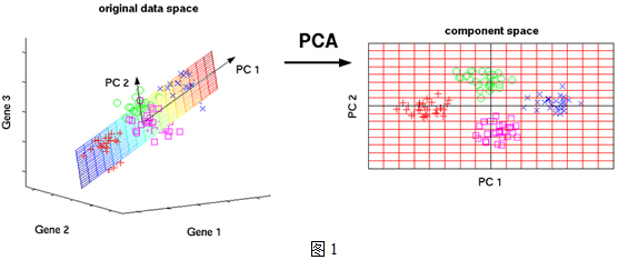 主成分分析(PCA)原理详解_数据_03