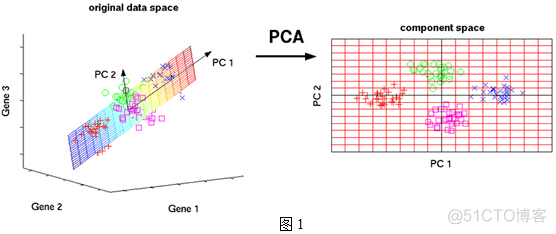 主成分分析(PCA)原理详解_特征值_03