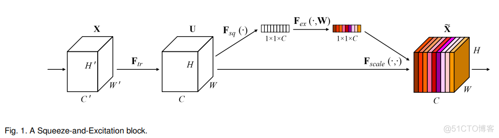 EfficientDet: Scalable and Efficient Object Detection论文阅读_目标检测_09