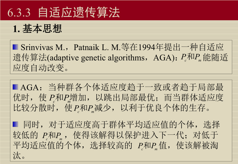 智能计算及其应用--遗传算法的改进_参考文献_07