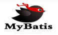 MyBatis01：第一个程序