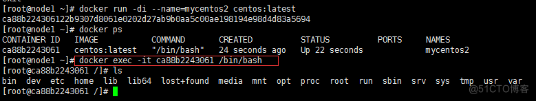 客快物流大数据项目(十)：Docker容器命令_bash_15