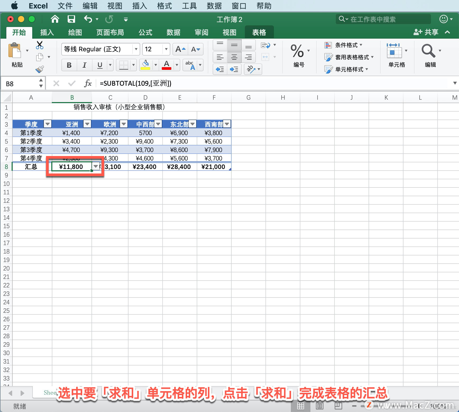 Microsoft Excel 教程，如何在 Excel 中汇总表格中的数据？_苹果mac_05