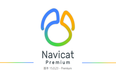 Navicat15 安装和（附工具）