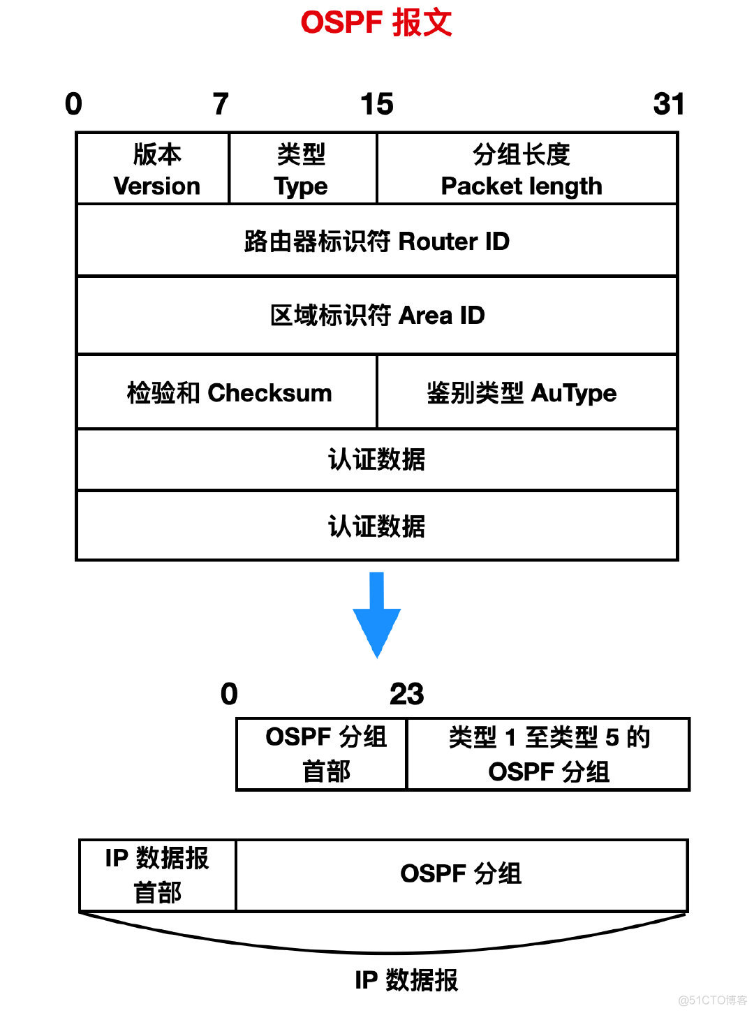 图解路由协议！_计算机网络_11