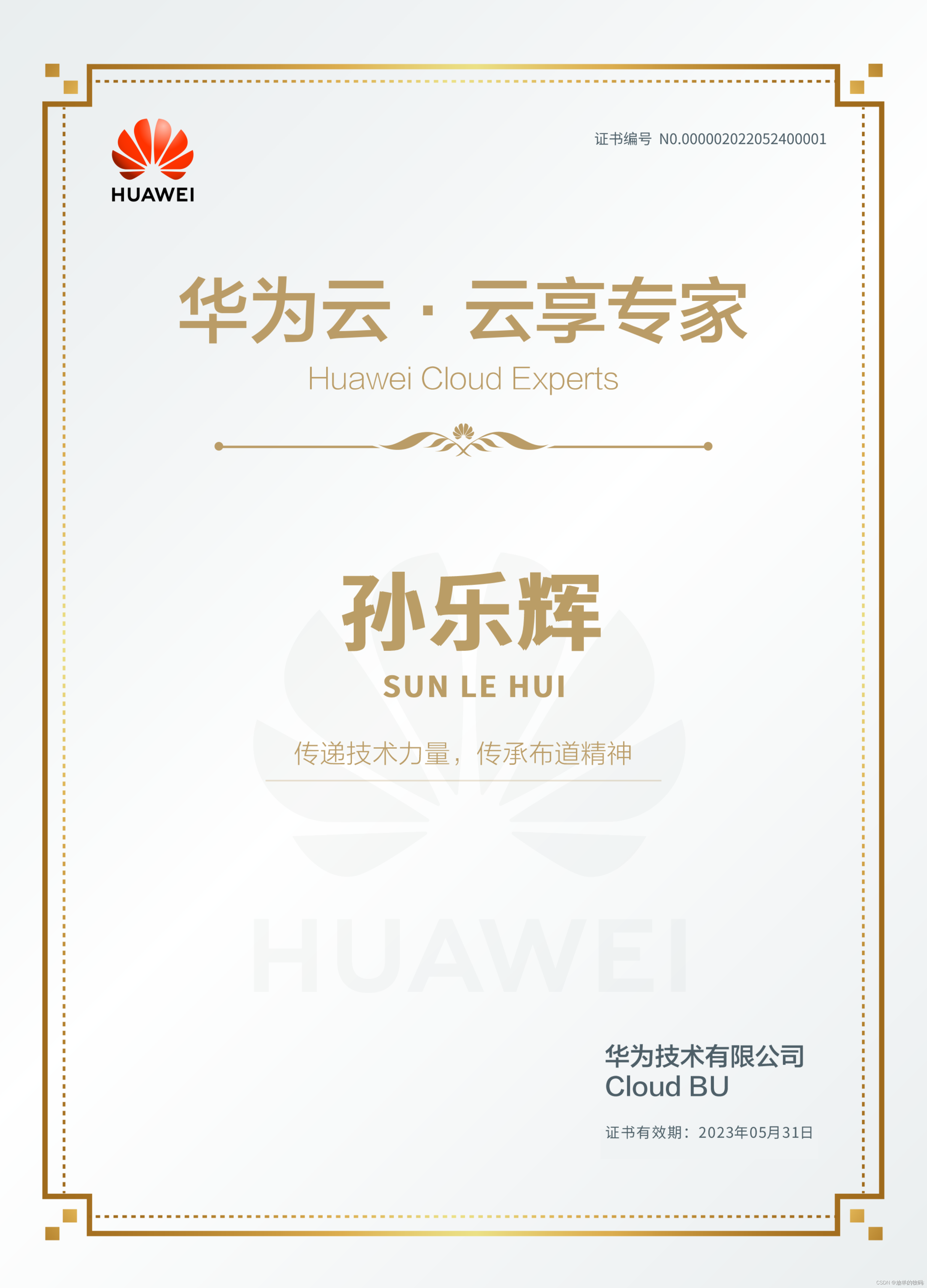 程序人生 - 华为云 - 云享专家（Huawei Cloud Experts）_Cloud