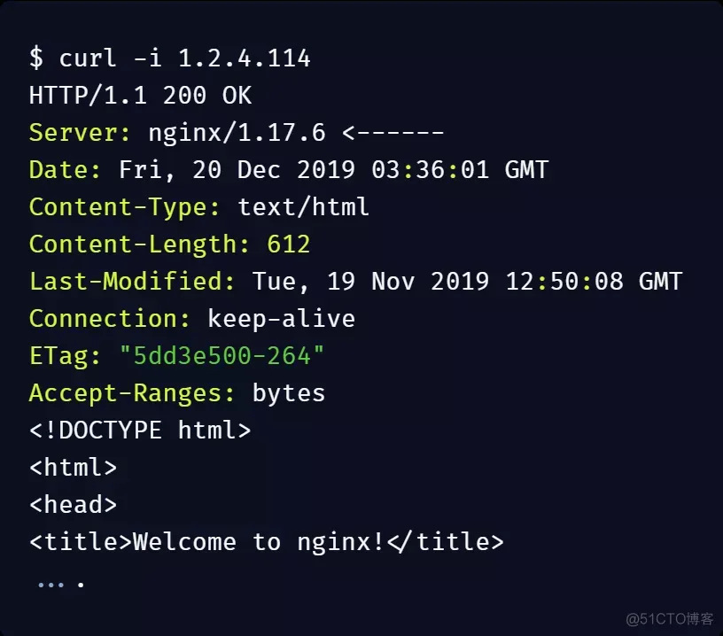 Kubernetes 外部 IP Service 类型_nginx_12