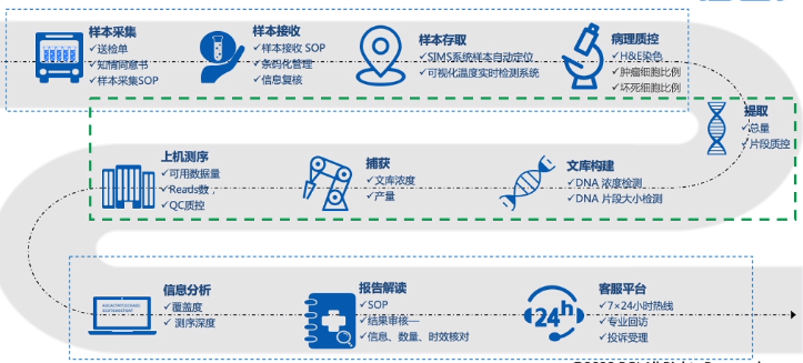 全流程基因檢測流程文庫製備:gdna片段化:物理超聲,內切酶,隨機末端