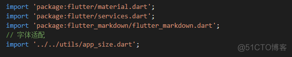 在Flutter中使用markdown_vue_04