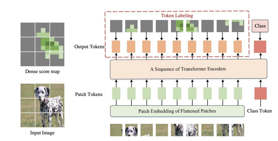 【CV】Transformer相关的CV文章_计算机视觉_09