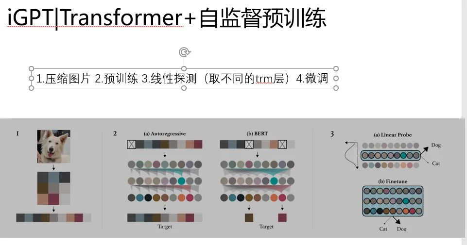 一文串起从NLP到CV 预训练技术和范式演进_计算机视觉_17