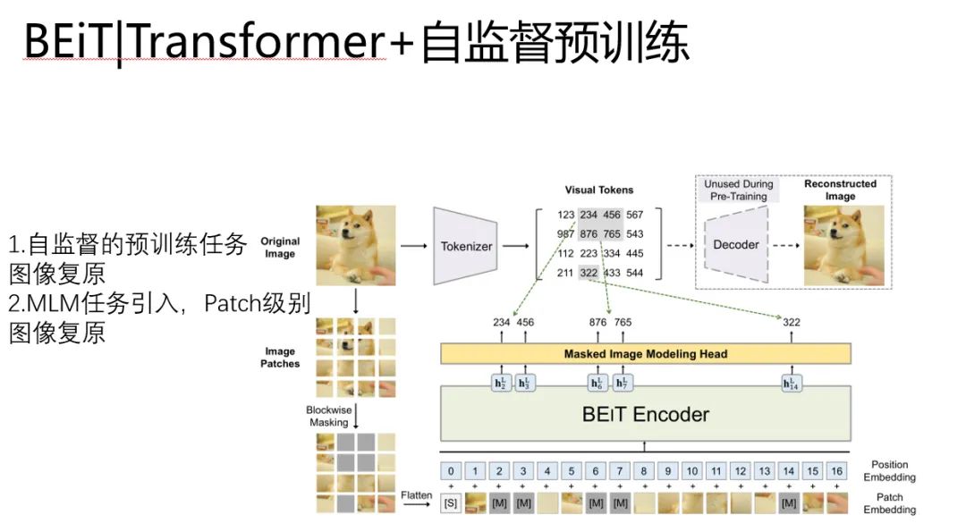 一文串起从NLP到CV 预训练技术和范式演进_神经网络_21