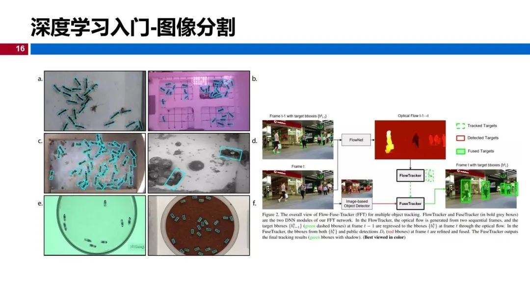 温州大学《深度学习》课程课件（一）_人工智能_16