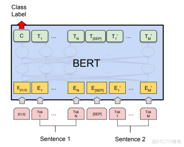 关于BERT，面试官们都怎么问？_数据_06