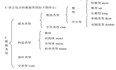 C语言 第二章 数据类型、变量和输入函数