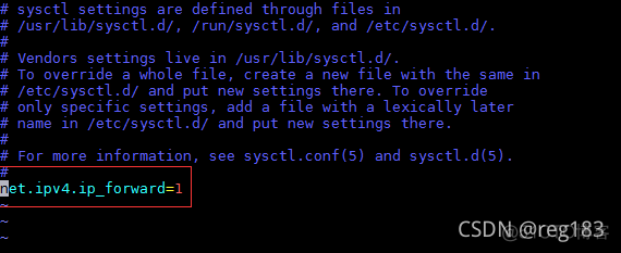 Docker之WARNING: IPv4 forwarding is disabled. Networking will not work._docker_02