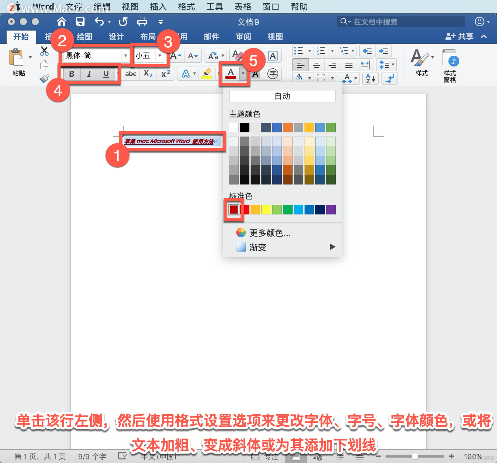 Microsoft Word教程「1」，如何在 Word 中创建文档、添加和编辑文本？_字体颜色_08
