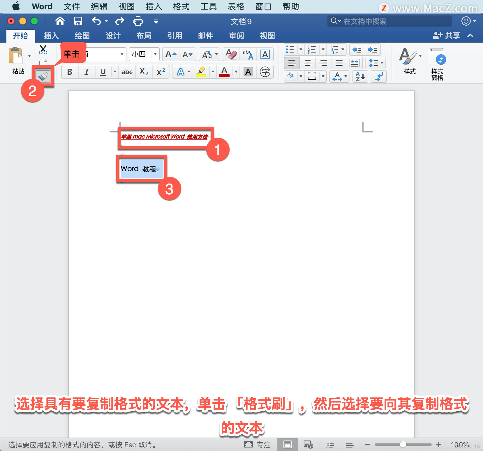 Microsoft Word教程「1」，如何在 Word 中创建文档、添加和编辑文本？_下划线_09