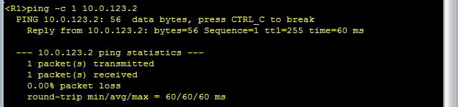 OSPF 网络类型_点到点_05