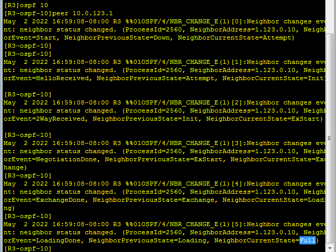 OSPF 网络类型_网络类型_26