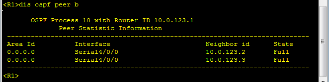 OSPF 网络类型_邻接关系_27