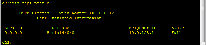 OSPF 网络类型_邻接关系_69