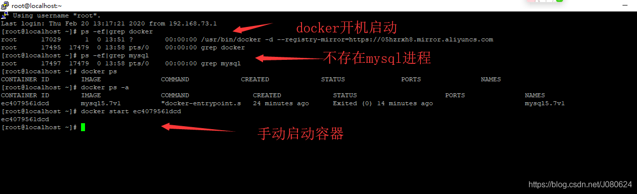 Docker下安装MySQL_mysql_17