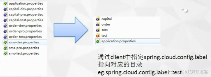 Spring Cloud Config 分布式配置中心实战详解_git_29