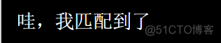 爬虫学习（10）：python正则表达式大全_前端_13