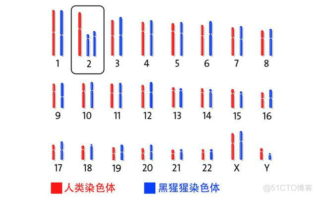 《认识我们人类自己》江湖一剑客_数据_07